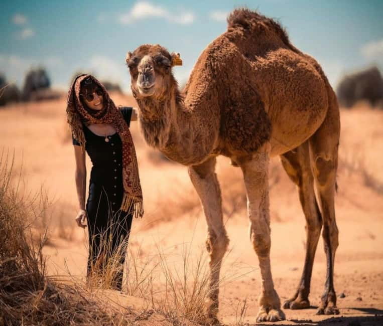 Cappadocia: Camel Safari Tour with Transfer - Key points at a glance