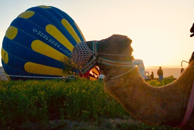 Cappadocia: Sunrise Camel Safari - Riding through Red and Rose Valleys