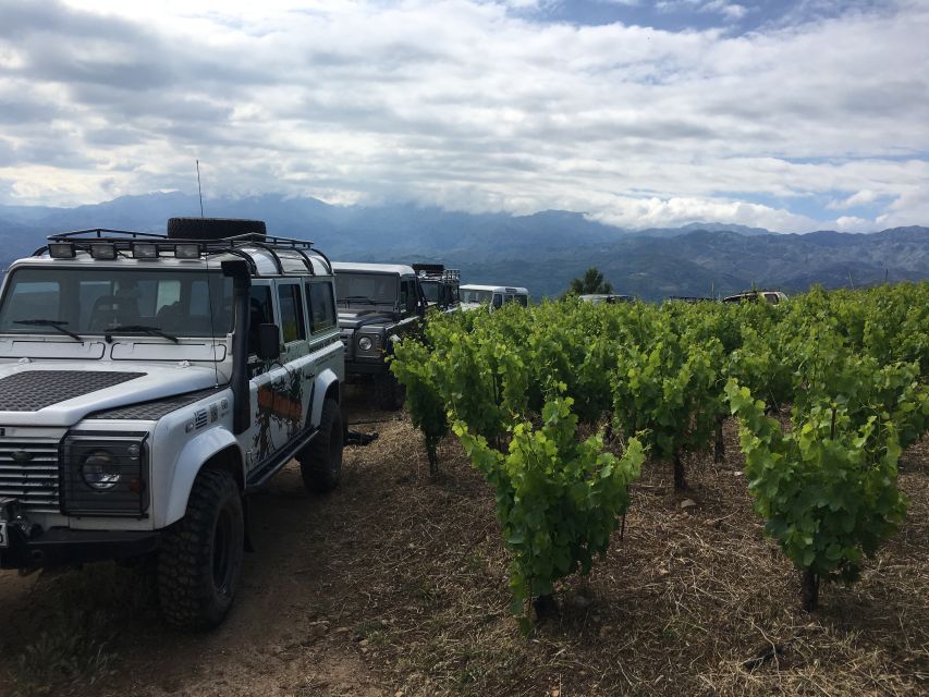 Chania 4x4 Sunset Safari Tour - Who will enjoy it most