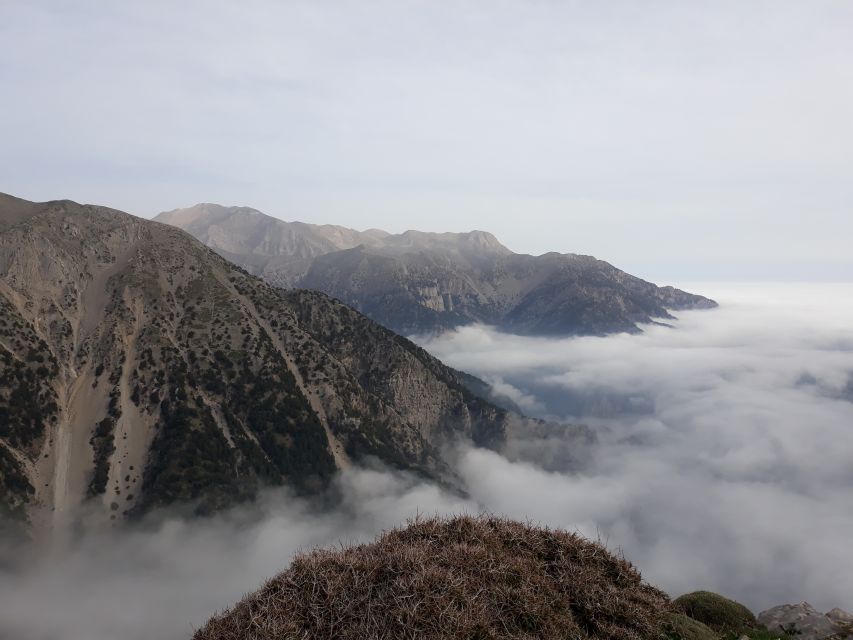 Chania: White Mountains Safari Tour with Lunch and Tastings - Why this White Mountains tour works