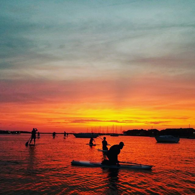 Charleston: Folly Beach Stand Up Paddleboard Dolphin Safari - Key points to know before you book