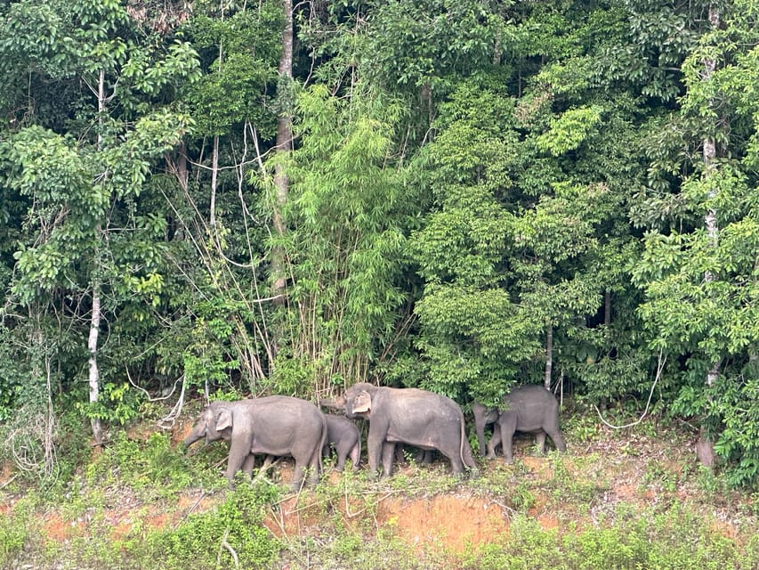 Cheow Larn Lake - Hiking - Cave Explore - Wildlife Safari - Khao Sam Kloe, the classic photo stop