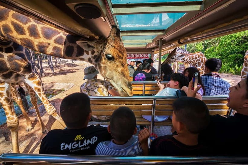 Chiang Mai Night Safari: Entry Ticket with Tram Ride - Seeing tigers and lions in the Predator Zone