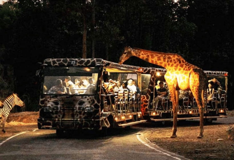 Chiang Mai: Night Safari Ticket with Transfer - Choosing between the five pickup times