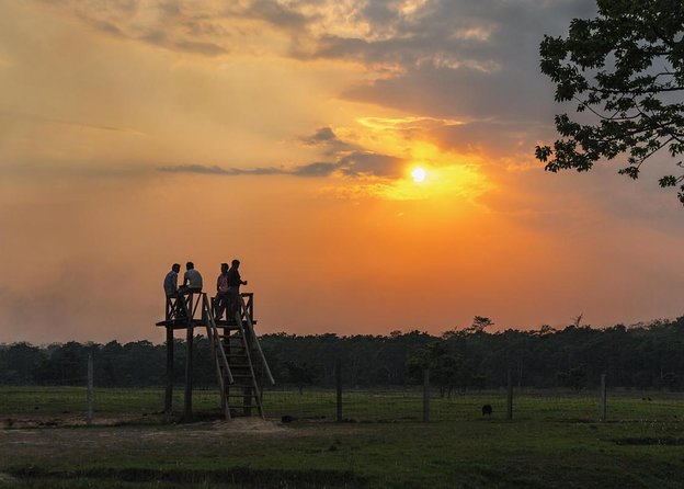 Chitwan Jungle Safari Tour - Key points to know before booking