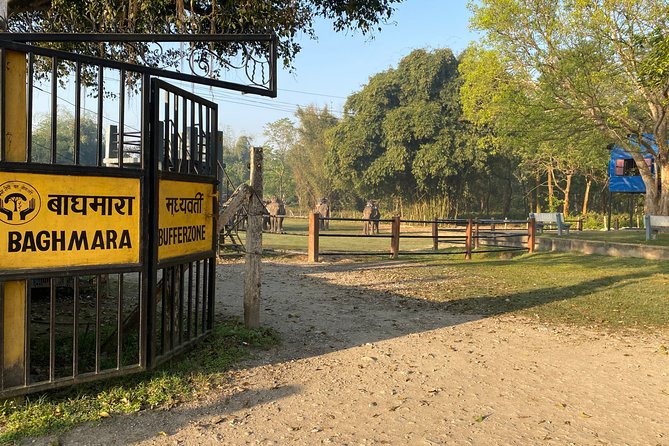 Chitwan Jungle Safari Tour - What the Chitwan package is really offering