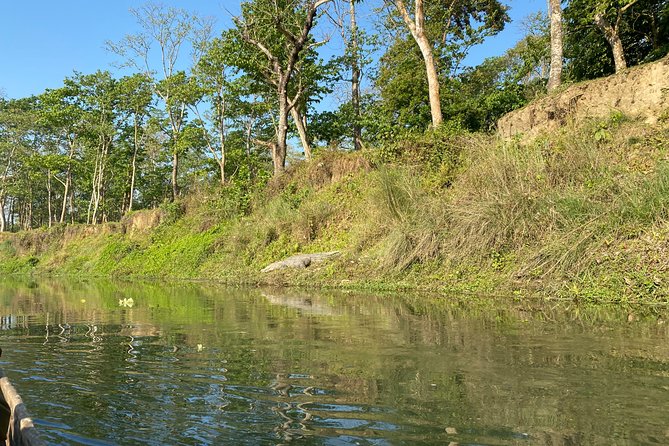Chitwan Jungle Safari Tour - Who should book this Chitwan safari?
