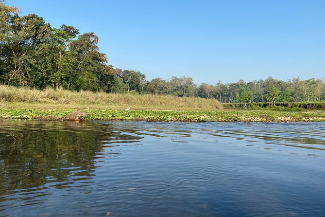 Chitwan Jungle Safari Tour - Booking, cancellation, and practical checks