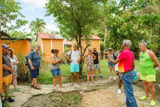 City Tour & Half-Day Safari Experiences - What the guide adds to the day