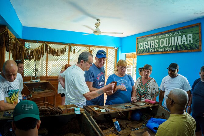 City Tour & Half-Day Safari Experiences - Who will enjoy this five-hour outing