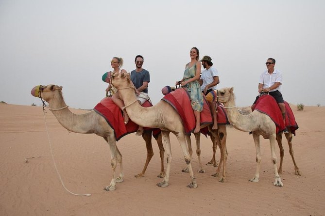 Classic Dubai Desert Safari with BBQ Dinner and Camp activities - Sunset, sandboarding, and the camp schedule