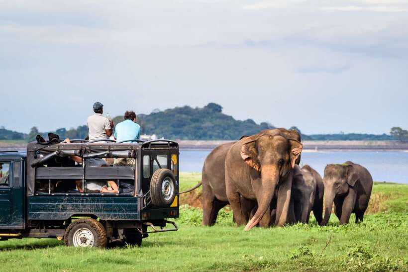 Colombo/Negombo: Sigiriya, Dambulla, and Minneriya Safari - Sigiriya Lion Rock: the hardest and best part