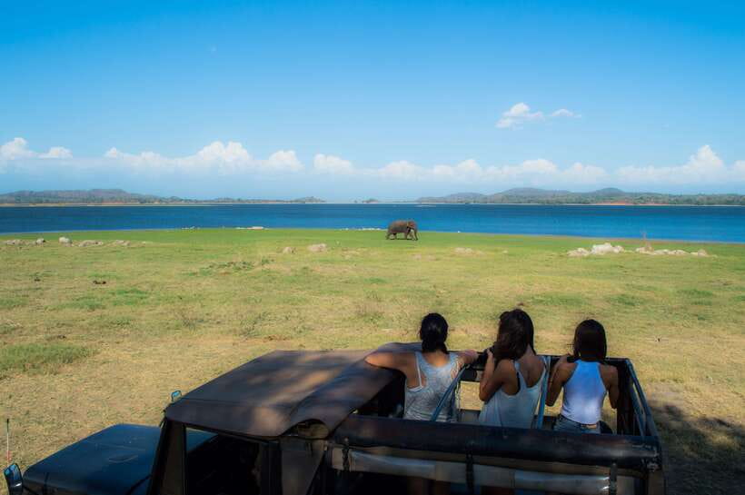 Colombo/Negombo: Sigiriya, Dambulla, and Minneriya Safari - Lunch is practical, not the main event