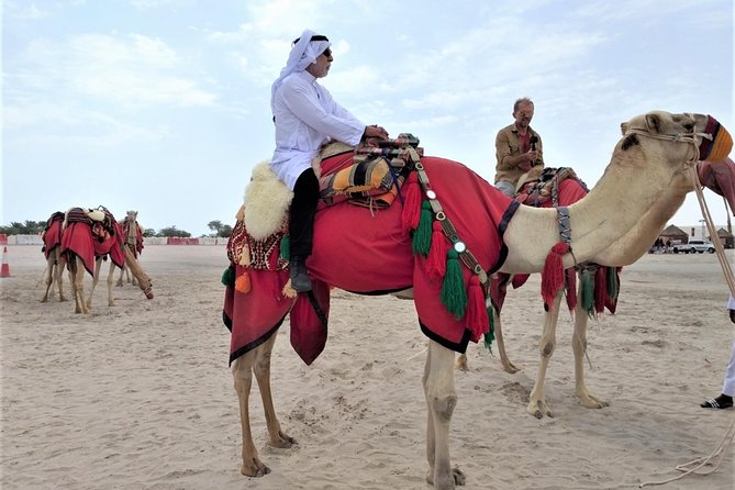 Combo Culture & Adventure: North Qatar Heritage & Desert Safari - Al Khor: fishing boats, the corniche, and a modern landmark