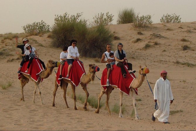 Combo Dubai City Tour and 4X4 Desert Safari with Dinner - A useful split between old Dubai and the desert