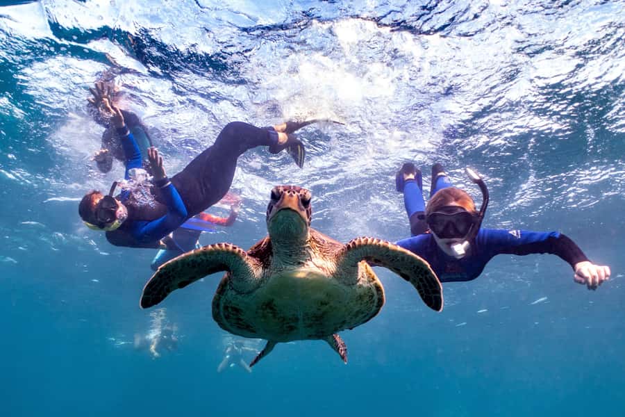 Coral Bay: Marine Eco Safari - Swim With Manta Rays - An easy start at 8:00 AM in Coral Bay