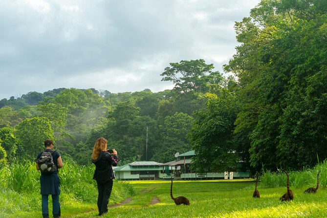 Corcovado and Drake Bay 2-Day Small-Group Safari Guided Tour - Starting in Drake Bay at 5:30 in the morning