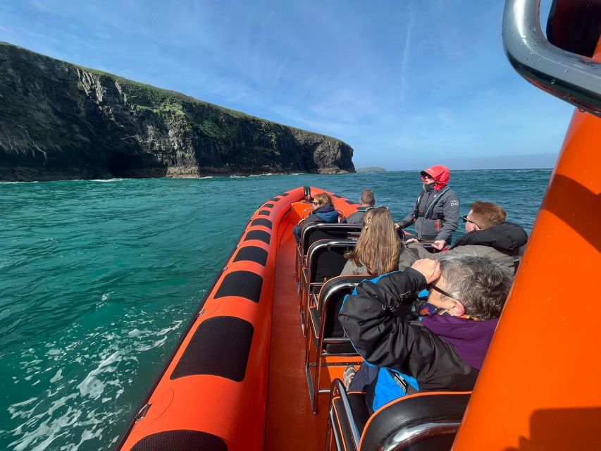 Cornwall: Guided Seal Safari by Boat - Dolphins, seabirds, and the pleasant surprises