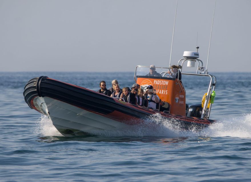 Cornwall: Guided Seal Safari by Boat - Who will enjoy this Padstow boat trip?
