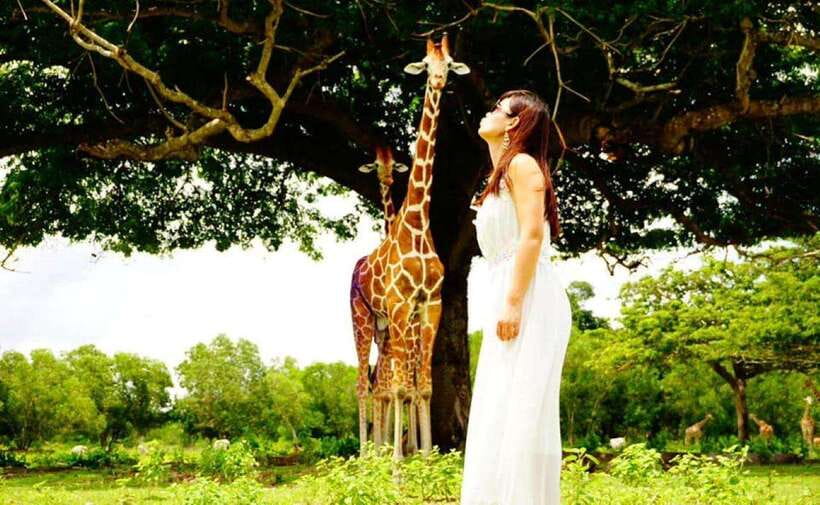 Coron: Calauit Safari Black Island Lunch & Transfer included - Why this Coron day trip is unusual