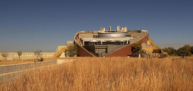 Cradle of Humankind Tour with Lion Safari from Johannesburg - Five things to know before you book
