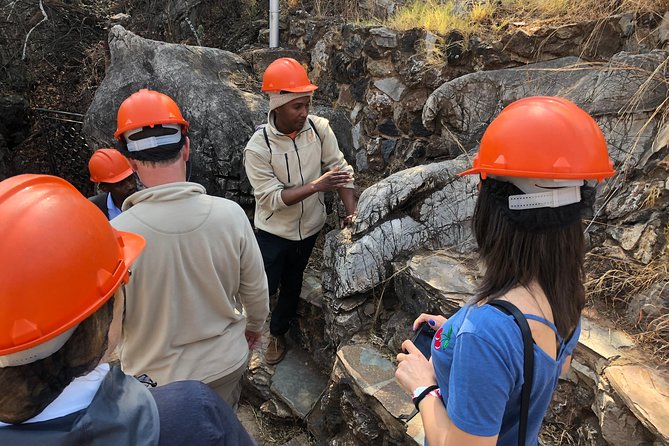 Cradle of Humankind Tour with Lion Safari from Johannesburg - Why this makes a strong Johannesburg day trip