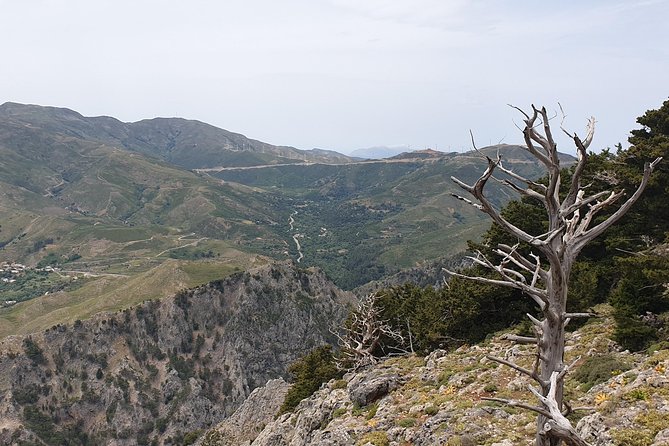 Cretan Safari – 4x4 Adventure to Preveli Beach with Lunch - Why this Crete 4x4 tour is worth your day