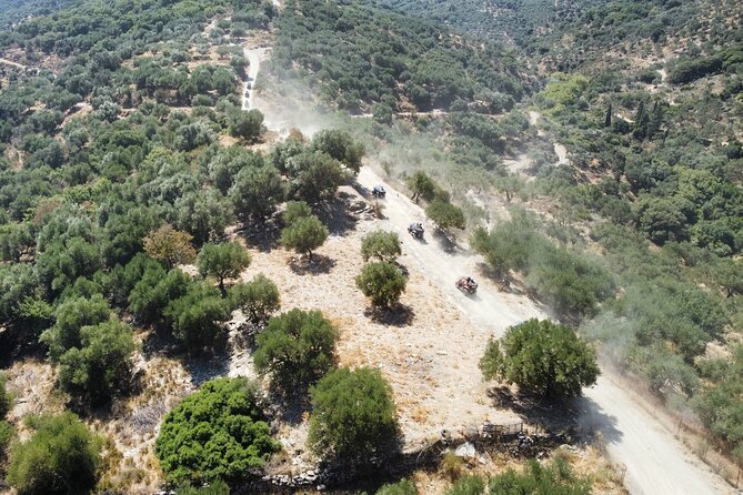 Crete 5-Hour Quad Safari Experience - Vasilakis Estate and Cretan olive oil