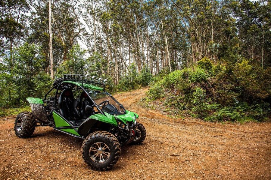 Crete buggy safari - Vassilakis Estate and the taste of Cretan olive oil