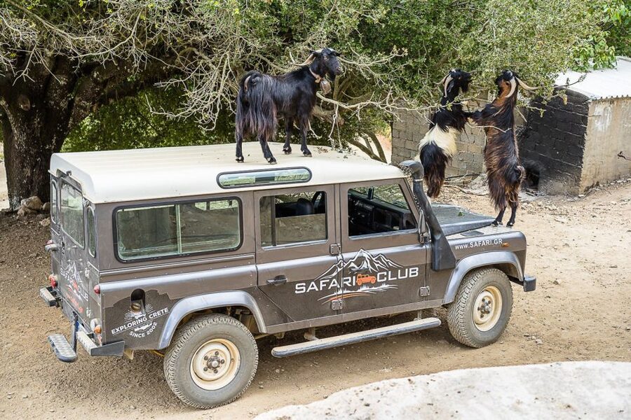 Crete: Land Rover Safari on Minoan Route - Why this safari is different from a normal Crete day trip