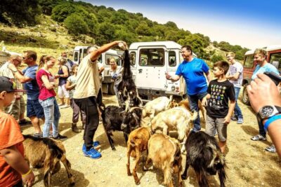 Land Rover Safari on Minoan Route