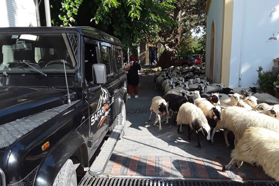 Crete: Land Rover Safari on Minoan Route - Meeting shepherds at a traditional mitato