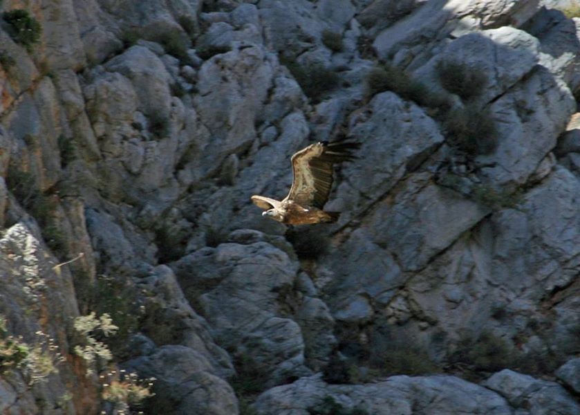 Crete: Land Rover Safari Through Katharo Plateau - Why the Katharo Plateau makes a strong day trip
