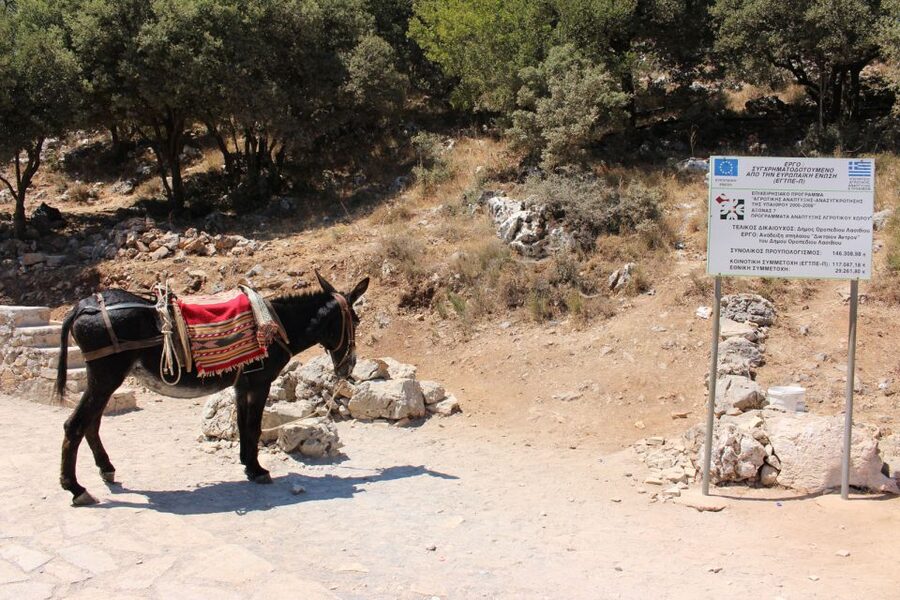 Crete: Land Rover Safari Through the Plateaus - Riding the rural roads toward Lassithi