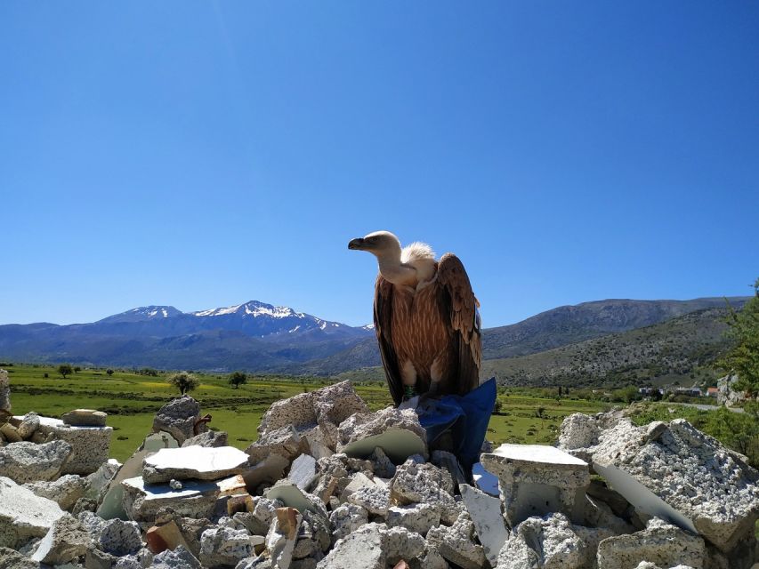 Crete: Lasithi Plateau and Cave of Zeus Off-Road Safari Tour - The climb to Psychro Cave, birthplace of Zeus