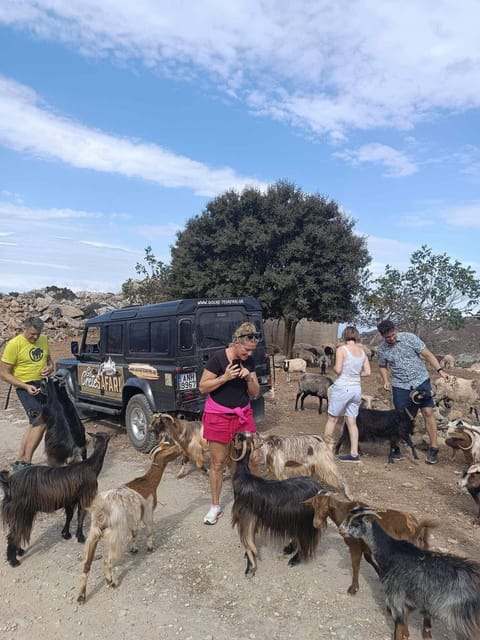 Crete: Lasithi Plateau Zeus Cave Guided Jeep Safari Tour - Lasithi Plateau at 1,150 meters