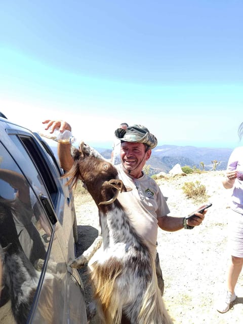 Crete: Lasithi Plateau Zeus Cave Guided Jeep Safari Tour - The shepherd’s farm and Cretan cheese