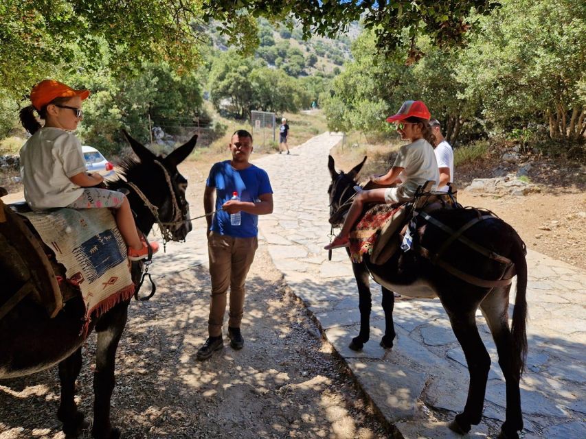 Crete: Lasithi Plateau Zeus Cave Guided Jeep Safari Tour - Diktaion Andron, the Cave of Zeus