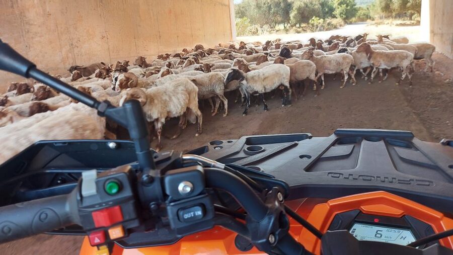 Crete: Off-Road Quad Safari with Lunch/Dinner - Lunch or dinner back at the base
