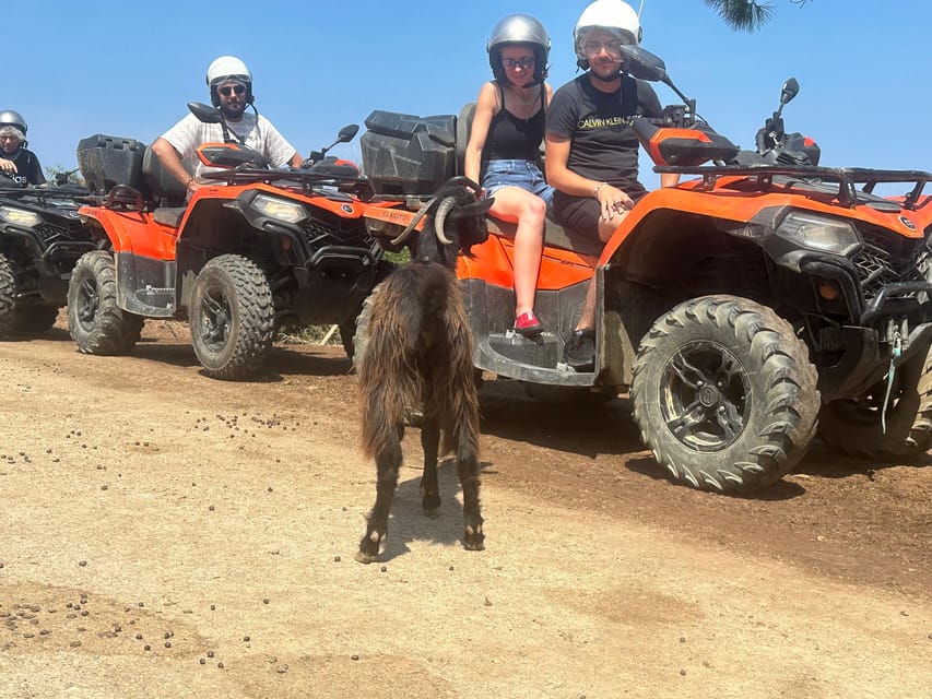 Crete: Quad Safari, Olive Mill with Tasting & Ghost Village - Key points to know before booking