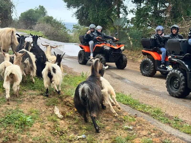 Crete: Quad Safari with Traditional Hidden Villages & Nature - Key points to know before you book