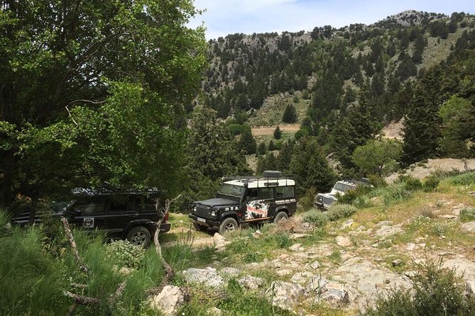 Crete's Wine and Olives Safari Tour from Chania - Lunch in the mountains, with local cooking