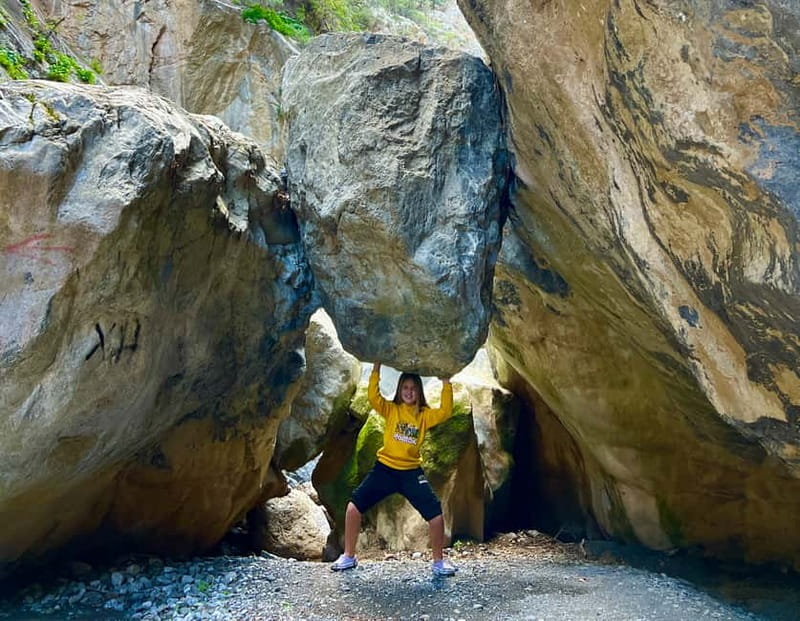 Crete: Sarakina Gorge, Forests, and South Coast Safari - Key points at a glance