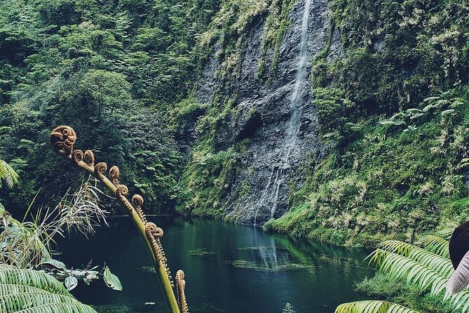 Crossing Over Tahiti Island Safari 4x4 - From the east coast into Papenoo Valley