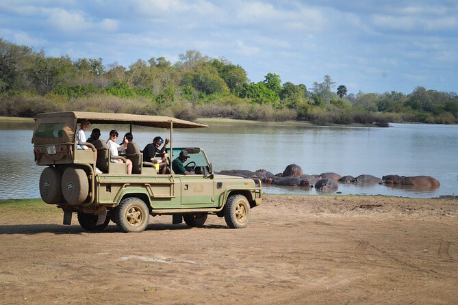 Day Safari Tour Selous Game Reserve - From Zanzibar airport to the African bush