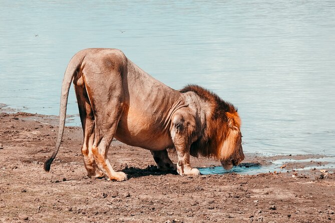 Day Safari Tour Selous Game Reserve - Picnic lunch with a wide park view