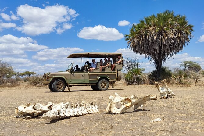 Day Safari Tour Selous Game Reserve - What $600 really buys you