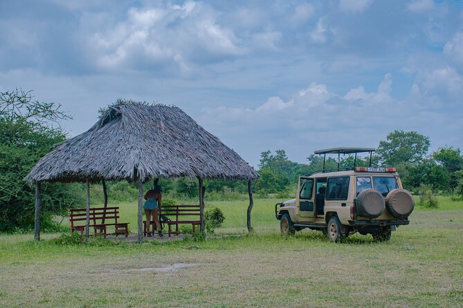 Day Safari tour to Selous Game Reserve from Zanzibar - Lunch, coffee, and the practical comfort level