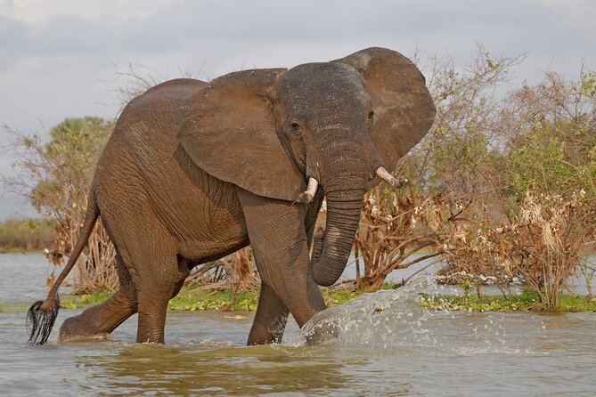 Day Safari tour to Selous Game Reserve from Zanzibar - The small flight to mainland Tanzania