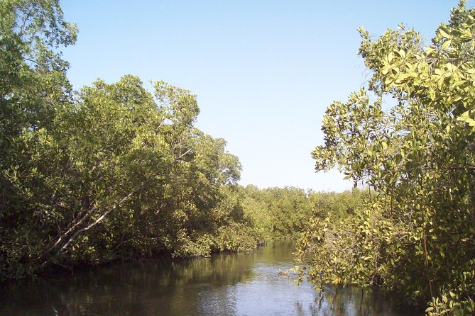 Day tour Somone lagoon and Bandia park Safari - A 1.5 to 2 hour safari inside Bandia